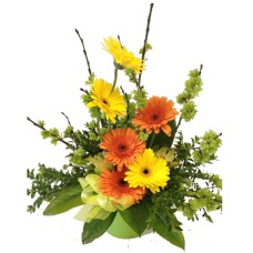 Pail of Gerberas (Small)