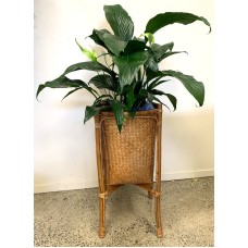 Cane Plant Holder with Lilies