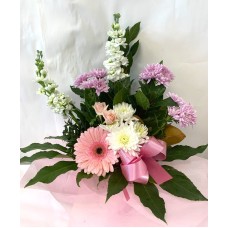 Pretty Pink Flowers in Water Box