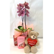 6 Red Roses in Hat Box