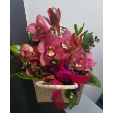 Orchids in a Kete