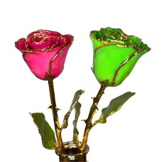 Wicked Gold Dipped Rose Duo