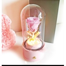 Everlasting Pink Rose Glass Dome with Bluetooth Speaker & LED Lights