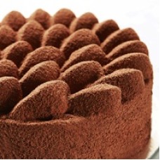 Tiramisu Cake