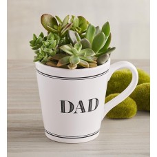 "Dad" Mug Succulent Garden