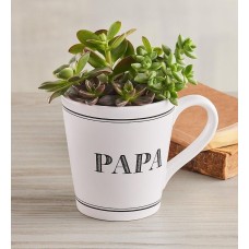 "Papa" Mug Succulent Garden