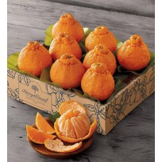 Sumo Citrus Mandarins