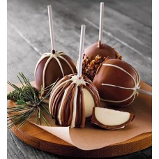 Chocolate Caramel-Covered Apples