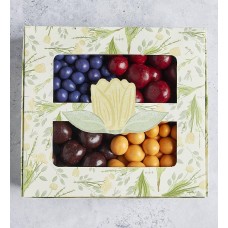 Spring Chocolate-Covered Fruit