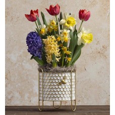 Spring-Themed Bulb Garden