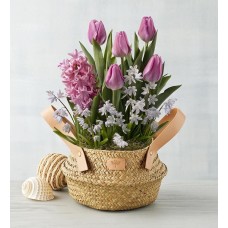 Lovely Spring Bulb Garden