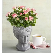 Mini Rose in Bust Planter