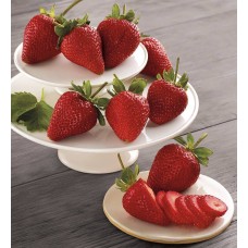 Giant Strawberries