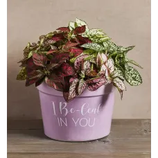 "I Be-leaf in You" Plant Gift