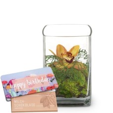 Exotic with Munz bar of chocolate Â«Happy BirthdayÂ»