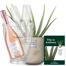 This is Anthony (Aloe vera) with Prosecco RosÃ© Albino Armani DOC (75 cl), incl. ice bucket and two sparkling wine flutes