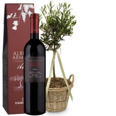 Olive tree «Summer Dream» with Ripasso Albino Armani DOC (75 cl)