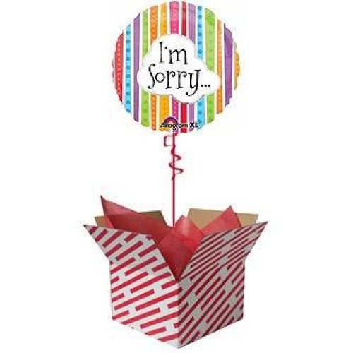 I'm Sorry Colourful Lines Balloon