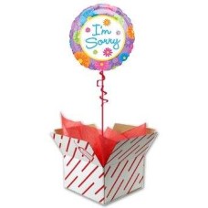 I'm Sorry Balloon Gift