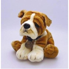 Cuddly Puppy