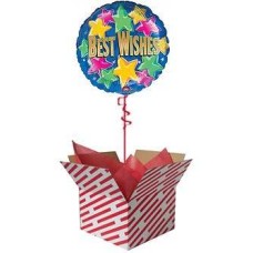 Best Wishes Balloon -1