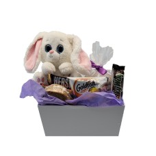 Easter Bunny Cookie Snack Pack