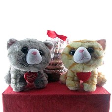 Valentin'e Kitty with Cookies Gift (Half Dozen)
