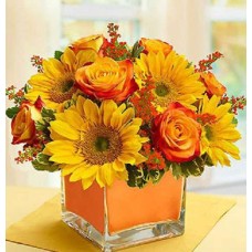 Modern Fall Enchantment