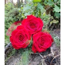 Bouquet Of Flowers 3 Red Roses