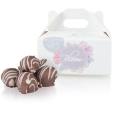 2 qty Mini Chocolate Macadamia Nuts