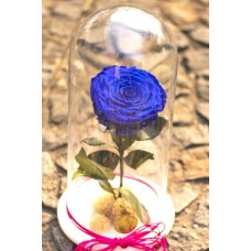 Rosa Preservada XXL en capsula