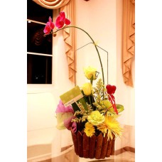 Orchid arranged