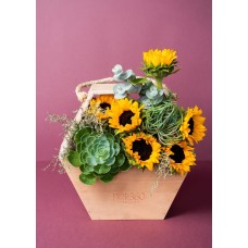Wood Basket Sunflowers and Succulents