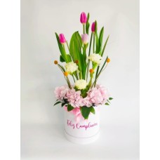TULI001-TULIPS