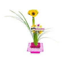Floral Arrangement For Her-5