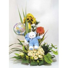 Birth Arrangement-1