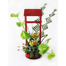 Orchid Flower Arrangement-2