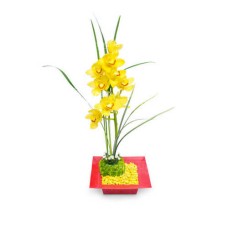 Orquideas Floral Arrangement-1