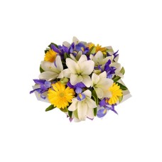 Dream of Iris