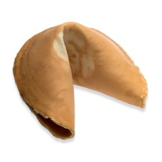 Plain Super Giant Fortune Cookie
