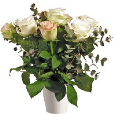 Pastel Roses (11 Roses)