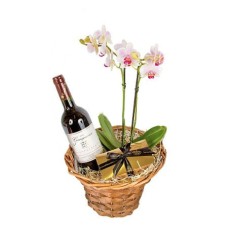 Orchid and red wine