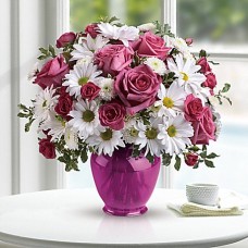 Pink Daisy Delight