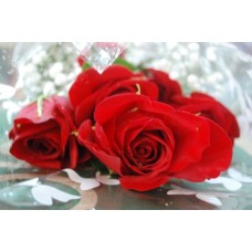 Rose Gift Wrapped