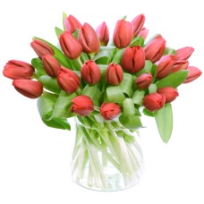 red tulip