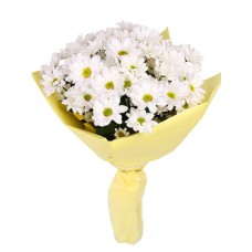 White Chrysanthemum Flowers