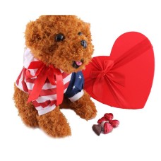 12 inch Dog cuddly with a heart box of 25 milk chocolate hearts