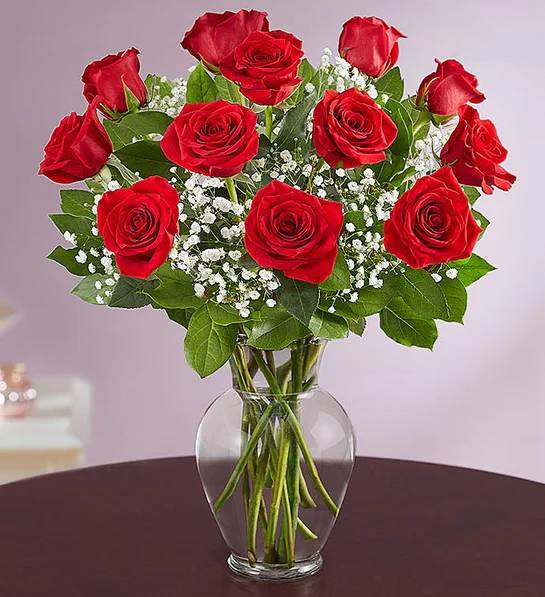 Rose Elegance Premium Long 18 Stems Red Roses