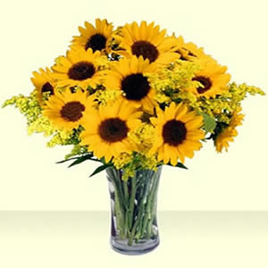 10 Sun Flowers