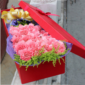 Perfect present (red carnation)